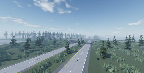 Pines, February 2022